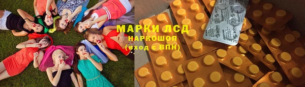 гашик Новозыбков